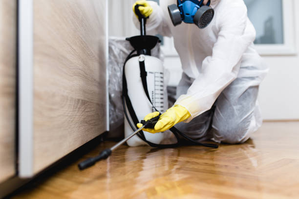 Best Best Pest Control Near Me  in Plymouth, MI