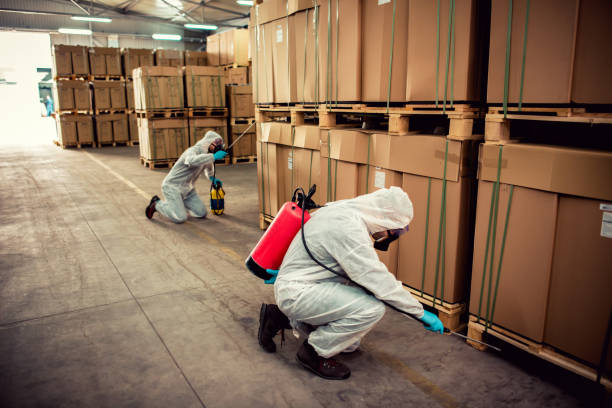 Best Bed Bug Extermination  in Plymouth, MI