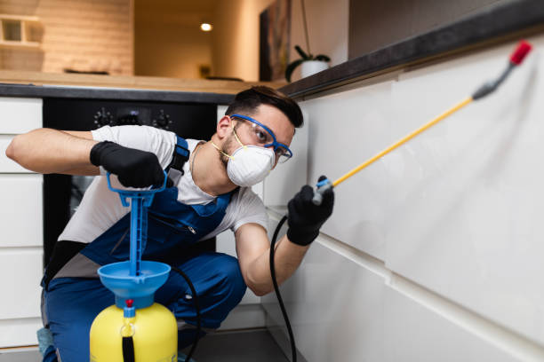 Best Wildlife Control Services  in Plymouth, MI