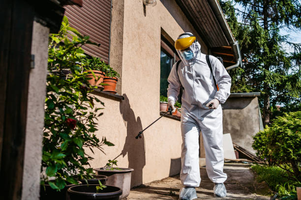 Reliable Plymouth, MI Pest Control Solutions