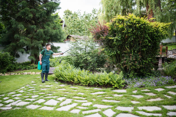 Best Pest Control Near Me  in Plymouth, MI