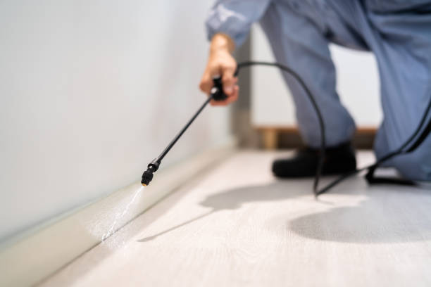 Pest Control Cost in Plymouth, MI