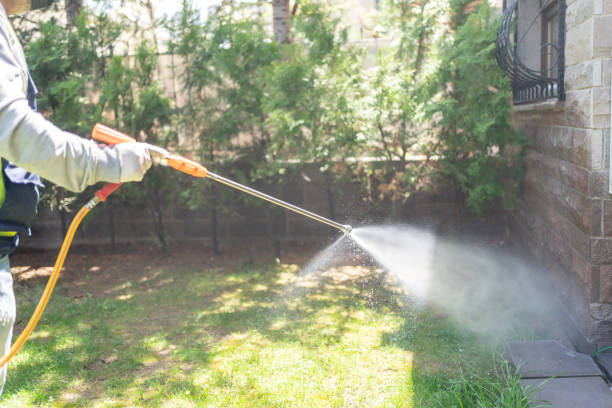 Best Exterminator Services  in Plymouth, MI