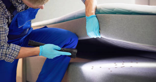 Best Mosquito Control Services  in Plymouth, MI