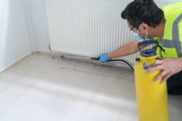 Best Pest Prevention Services  in Plymouth, MI
