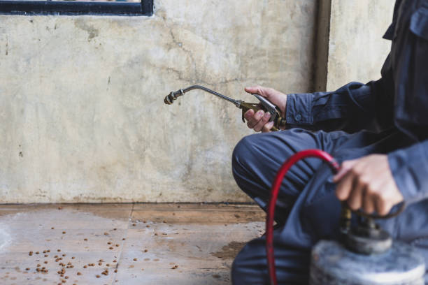 Best Termite Control Services  in Plymouth, MI